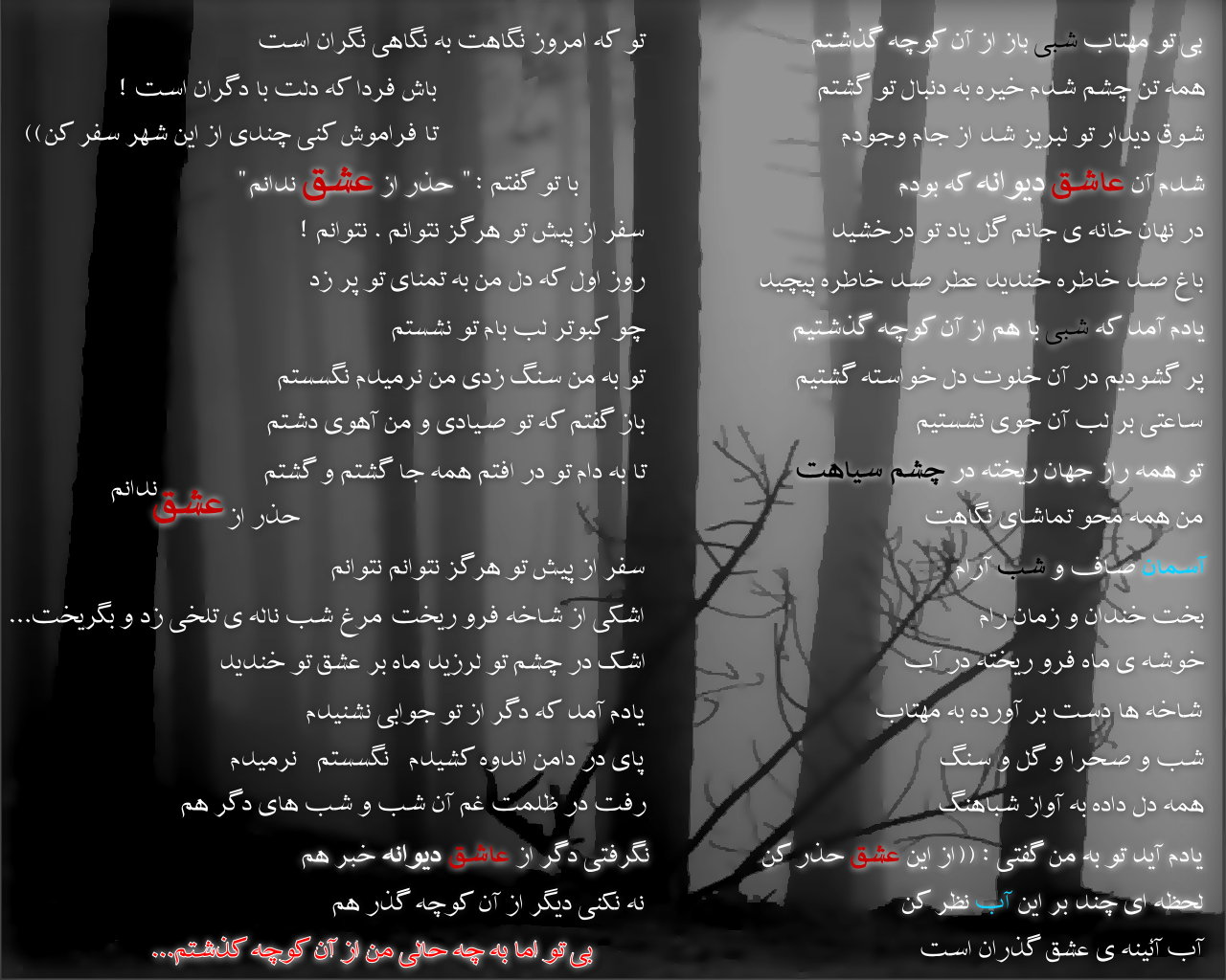 شعر شب مهتاب از فريدون مشيري